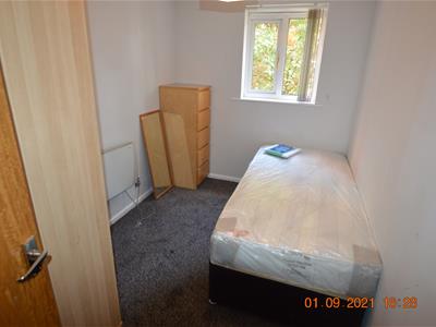 Picture 7